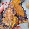 Dabie Mountain Wild Growth Authentic Mulberry Phellinus linteus/Phellinus igniarius 250 Grams view 2