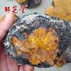 Dabie Mountain Wild Growth Authentic Mulberry Phellinus linteus/Phellinus igniarius 250 Grams view 4