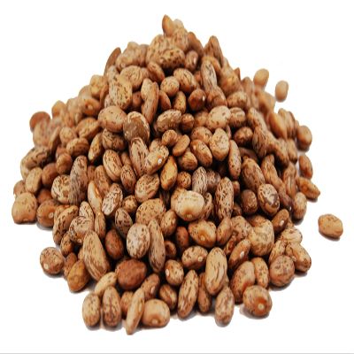 Dried Pinto Beans 25kg / Mexican Dried Whole Pinto Beans, Fresh Pinto Beans, Dried Whole Frijoles, Large Bag