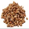 Dried Pinto Beans 25kg / Mexican Dried Whole Pinto Beans, Fresh Pinto Beans, Dried Whole Frijoles, Large Bag view 1