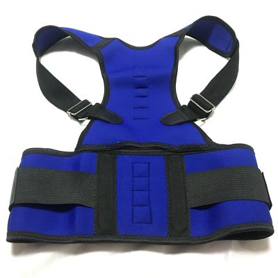 ZLCO Adult Back Corset Shoulder Lumbar Posture Corrector Bandage Spine Support Belt Magnetic Therapy Back Support Posture Correction (Color : Blue, Size : Medium) Present
