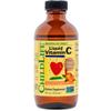 ChildLife Essentials Liquid Vitamin C for Kids - 250mg Daily Dose, Supports Immunity of Your Child, 5ml Daily, Vegetarian, Non-GMO, Gluten & Soy-Free view 1