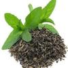 AOZA Organic Natural Herb Tulsi Leaves Dry (100 GM) view 1
