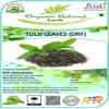 AOZA Organic Natural Herb Tulsi Leaves Dry (100 GM) view 2