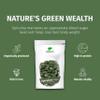 Nature's Finest by Nutrisslim Spirulina Tablets 250mg per Tablet (500 Tablets), 100% Organic Herbal Supplements, Natural Iron and Chlorophyll Source, Immune Booster Supplement - Vegan view 2