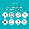 Probiotics and Prebiotics Supplement for Adults, 40 Billion CFU, 6 Probiotic Strains with Inulin. 90 Vegan Capsules. N2 Natural Nutrition view 4
