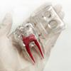 Casiler 4x Enlarged Tooth Model Figurine Educational Tooth Model Perfect for Dentistry Professionals & Students view 3