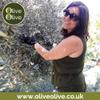 Oregano Infused Olive Oil Extra Virgin by OliveOlive - First Cold Pressed Olive Oil from Cyprus - 100% Handpicked Olives - High PolyPhenols - 250ml dark glass bottles (Oregano) view 4