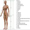 Black Latex Catsuits Rubber Dog Hood 3D Breast with Back Crotch Zipper Cosplay,XX-Large view 4