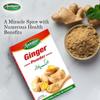 Alamgeer Ginger Powder 100g(Pure Natural & Full of Flavour) view 2