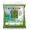 AOZA SAARA : Keelanelli Powder/Bhumyamalaki/Phyllanthus Niruri Powder - 100 Grams (Pack of 1 x 100 gm)