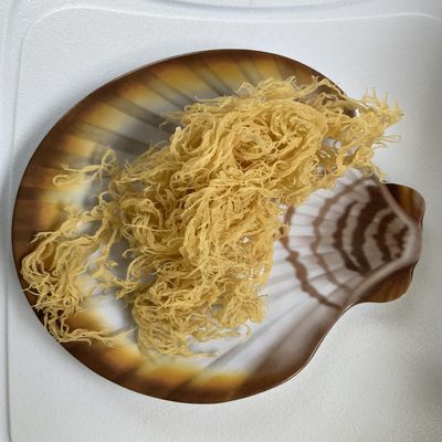 Kalypso Finest Wildcrafted golden sea moss