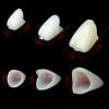 120 Pieces Dental Temporary Tooth Cap Crown Veneers Front Back Anterior and Molar Posterior Teeth with Tooth Repair Thermal Beads Cap Filler for Missing Broken Teeth view 2