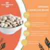Organic Cannellini Beans 500g - Creamy & Versatile for Soups, Salads & Hearty Meals view 3