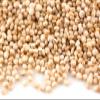 Sussex Wholefoods Quinoa Grain 2kg view 1