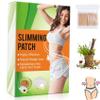 Camic Belly Slimming Patch, Perfect Detox Slimming Patch Belly, Effective Ancient Remedy Healthy Detox Slimming Belly Pellet for Women Men (1Box) view 1