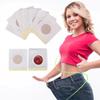 Camic Belly Slimming Patch, Perfect Detox Slimming Patch Belly, Effective Ancient Remedy Healthy Detox Slimming Belly Pellet for Women Men (1Box) view 2