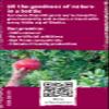 Biotta Pomegranate Juice 500ml - Pack of 6 view 4