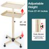 Champagne Gold Salon Tray Cart with Adjustable Height on Wheels - Ideal for Tattoo & Dental Use, No-Rusting view 4