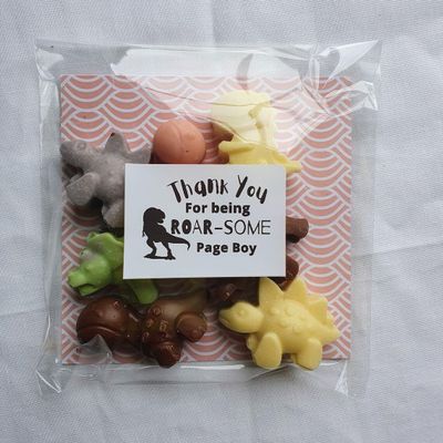 Chocolate Dinosaurs for kids. Wedding Gift for flowers girl or Page Boy. Pack of 6 Mixed Flavour 50G Belgian Chocolate Dino Shapes