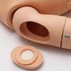 AMITVA PVC Multi-Functional Nursing Skills Training Manikin for Medical Science Teaching Tool Can Be Done 24 Item Basic Nursing Operations,170Cm view 4
