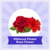 BLUE TEA - Hibiscus Rose Tea - 60 Biodegradable Tea Bags - Plant Based | SKIN GLOW ENHANCING TEA | Caffeine Free - Flower Based - Tangy Flavor - Vegan - Herbal Tea | Ziplock Pouch view 4