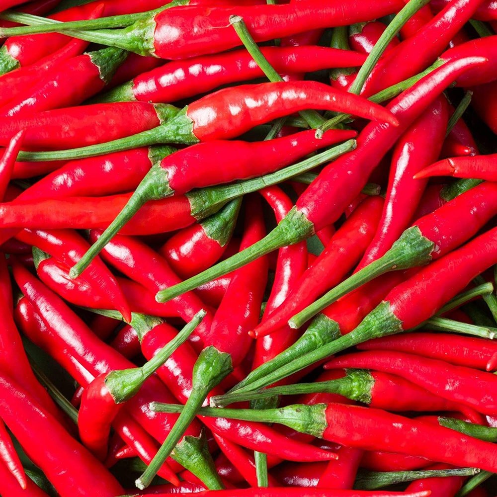 Fresh Red Bird's Eye Chilli | Chillies 1 Kg | Red Chilli | Bird Eye Chilli