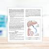 Aboca metarecod metabolic Syndrome 40 sachets view 4