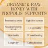 RAW POT - ORGANIC HONEYDEW HONEY WITH PROPOLIS - Natural Raw Pure Unpasteurised Honey Rich in Antioxidants for Immunity Support, Skin, Digestive Health | Smooth and Silky | For Kids And Adults (300g) view 3