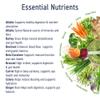 Applied Nutrition Critical Greens - Super Greens Powder, Boost Your Immune System with Superfood Nutrients, Vegan (150g - 30 Servings) (Lemon & Lime) view 3