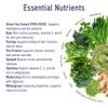 Applied Nutrition Critical Greens - Super Greens Powder, Boost Your Immune System with Superfood Nutrients, Vegan (150g - 30 Servings) (Lemon & Lime) view 4