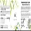PEAK NAC - 60 Capsules I 60 Servings I Food Supplement with 600mg high-dose N-Acetyl-L-Cysteine I high bioavailability I Vegan view 4