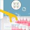 Dental Floss Pack of 40 Children's Dental Floss Stick, Tooth Wire/Dental Care Interdental Flossers, Toothpicks, Teeth Cleaning for Removing Plaque and Food Leftovers view 3
