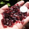 100g Natural Red Garnet Tumbled Quartz Crystal Gravel Healing Energy Rough Mineral Specimen Collectables Garden Home Decor,50g view 4