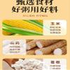 Chinese yam red dates and corn soup [600g/can], Nutritional breakfast meal substitute powder, Healthy breakfast corn Congee, Convenient cereal breakfast, Chinese snacks (2 cans) view 4