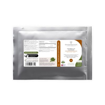 Lactobacillus Plantarum 15g | 5 Billion CFU Probiotic + Chicory Root Prebiotic (Inulin) | Vegan Friendly Powder UK Made | 1g Daily (15 Servings)