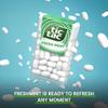 8 x Fresh Mint Tic Tac Mint Sweets For Little Moments of Refreshment - Sold By VR Angel view 3