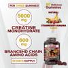 WellBoost Creatine MAX Gummies - 5000mg Creatine Monohydrate & 600mg BCAAs per Serving - Vegan, Sugar-Free Chewable Gummies with Strawberry & Banana Flavour - 90 Gummies (1 Month Supply) view 4