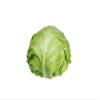 Baby Cabbages-Fd view 1