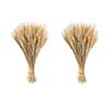 Veeteah 200 Dried Wheat Sheaves Bundle dried wheat stems dried wheat stalks Wheat Grain Flowers Fall Arrangement For Craft Home Table Wedding view 1