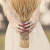 Veeteah 200 Dried Wheat Sheaves Bundle dried wheat stems dried wheat stalks Wheat Grain Flowers Fall Arrangement For Craft Home Table Wedding view 2
