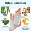 Bandoo Detox Foot Pads | Natural Deep Cleansing Foot Pads | Japanese Foot Patches | Rana Pads | 10 Pads view 2