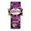 Ribena Blackcurrant Flavour Fruit Juice 24x 250ml Real Fruit | Rich In Vitamin C | No Artificial Colours or Flavours | Ready To Drink Boxed Treatz view 3