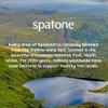 Spatone Natural Iron Supplement + Vitamin C (14 Sachets), Daily Convenient Liquid Iron Sachets, Nothing Artificial, Better Absorption than Tablets, Less Side Effects, Apple Flavour view 3