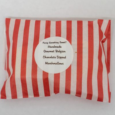 Gourmet Marshmallows Dipped in Chocolate (mixed flavours (please send msg), 2 in a paper bag)