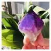FOTOEV Natural crystal rough Amethyst 1kg Natural Ametrine Quartz Point Wand Single Terminated Natural Stones and Minerals (Size : 1kg) (Size : 1pc) view 1