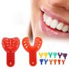 12pcs Dental Tooth Trays Dentist Plastic Teeth Holder Dental Impression Trays Dental Impression Trays view 2