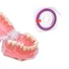 MIBICIRI Dental Polishing Strip - Resin Strip for Adjacent Surface Polishing, 6m/Roll (Coarse) view 3