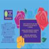 Cadbury Roses Pouch, 300g view 4