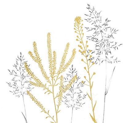 20 napkins, subtle grasses, table decoration, decoupage, napkin technology, 33 x 33 cm